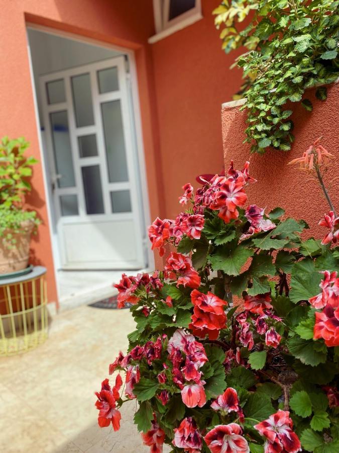 Apartments Zala Matusan ซูเปทาร์สกา ดรากา ภายนอก รูปภาพ