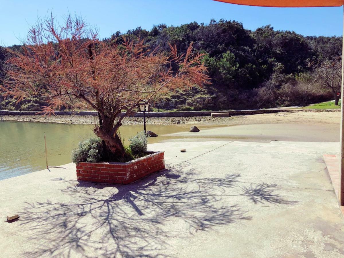 Apartments Zala Matusan ซูเปทาร์สกา ดรากา ภายนอก รูปภาพ